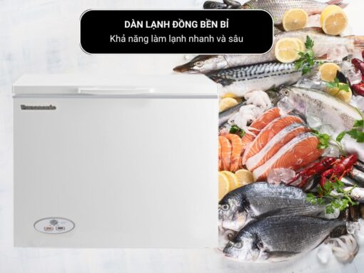 tủ đông panasonic scr-p997 269l (3)