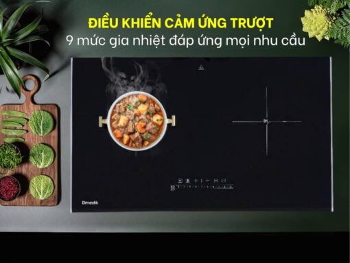 bếp từ dmestik ge 2068 dki (5)