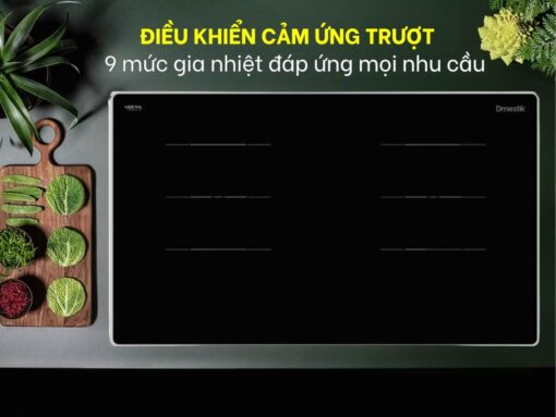 bếp từ dmestik ge 2099 dki (4)