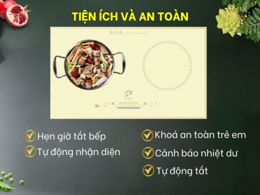 bếp từ smaragd si2-66gld (7)