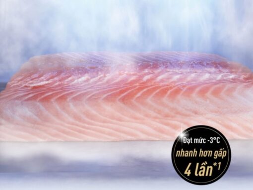 tủ lạnh panasonic nr-dz601ygkv 550l (4)