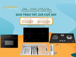 Khuyến mãi Malloca tháng 6