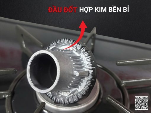 bếp gas rinnai rt64-2h6s-l (2)-fix