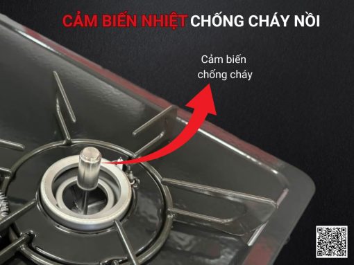 bếp gas rinnai rt64-2h6s-l-fix