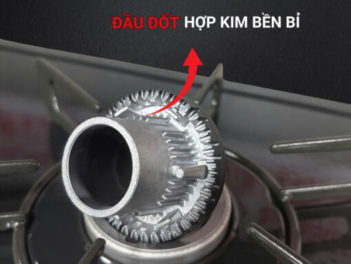 bếp gas rinnai rt64-2h6s-r (2)-fix