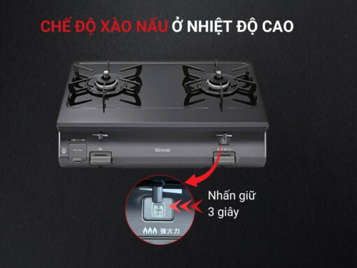 bếp gas rinnai rt64-2h6s-r (3)-fix
