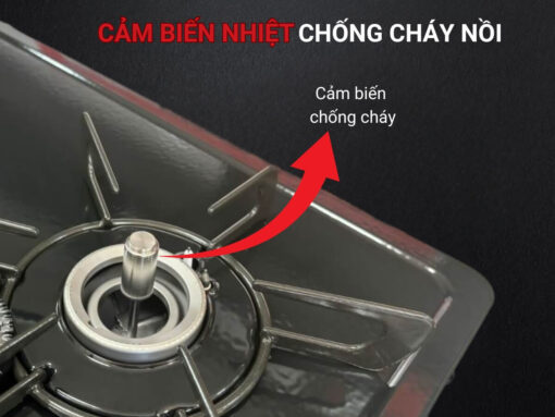 bếp gas rinnai rt64-2h6s-r-fix