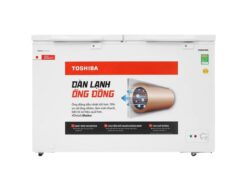Tủ đông Toshiba GR-RC470CM-PMV(01) Inverter 362L
