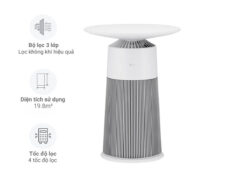 Máy lọc không khí LG AS20GPWU0