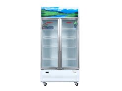 Tủ mát Sanaky VH-1009HP3 Inverter 900L