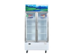 Tủ mát Sanaky VH-6009HP 500L