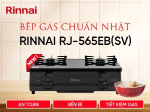 Ra mat bep gas Rinnai RJ 554SSV 1