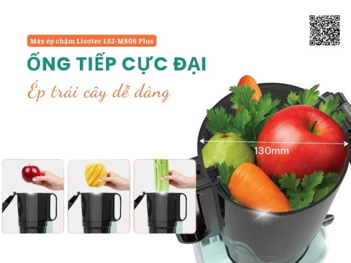 máy ép chậm livotec lsj-m80s plus (3)
