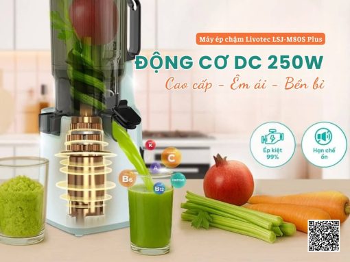 máy ép chậm livotec lsj-m80s plus (5)