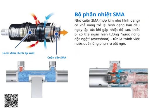 sen tắm toto tbv03417j (2)(2)