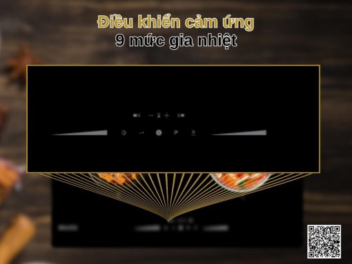 bếp từ malloca mi 7302 ems (2) (1)