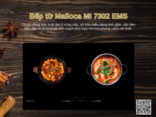 bếp từ malloca mi 7302 ems(1) (1)