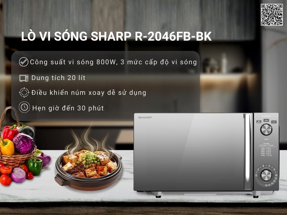 lo vi song sharp r 2046fb bk 2