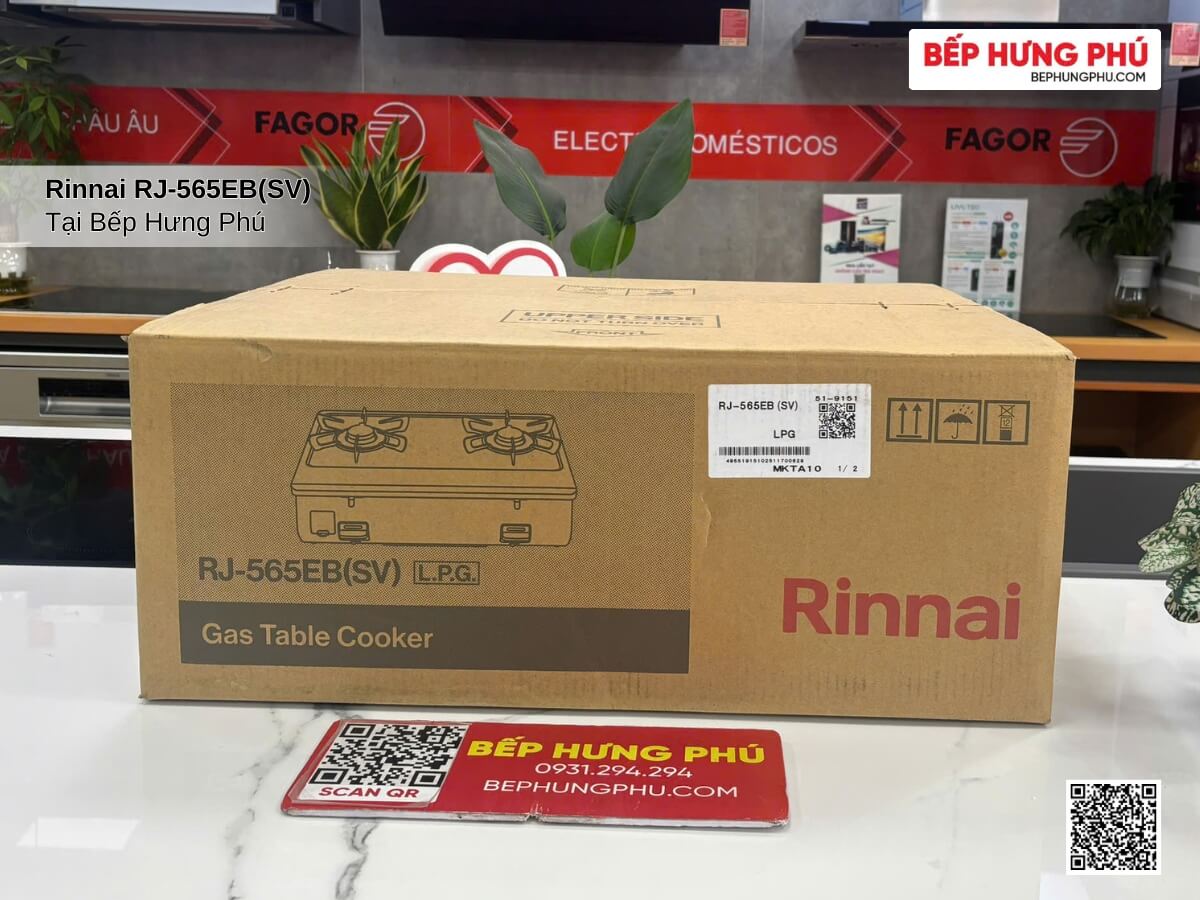 bep gas rinnai rj‑565ebsv 1