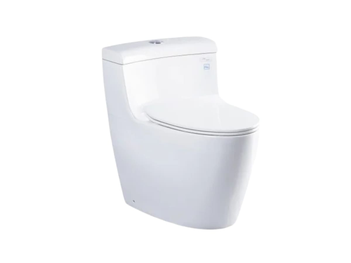 bon cau toto ms636dt8
