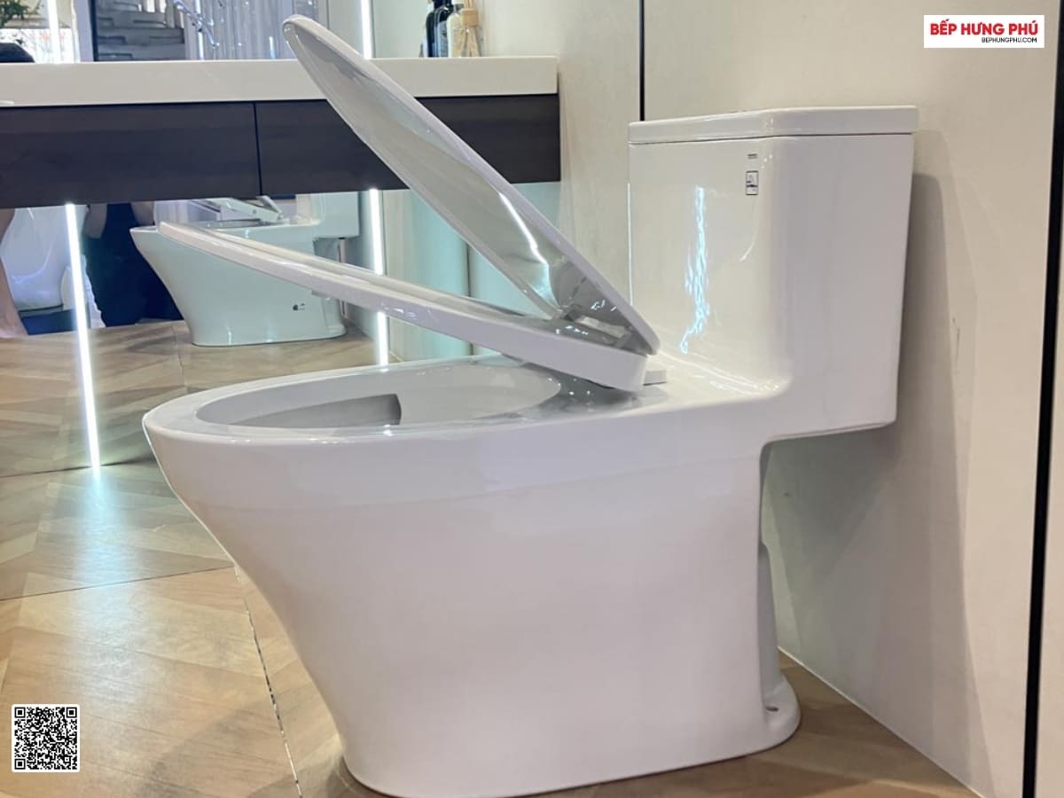 bon cau toto ms857dt10 5