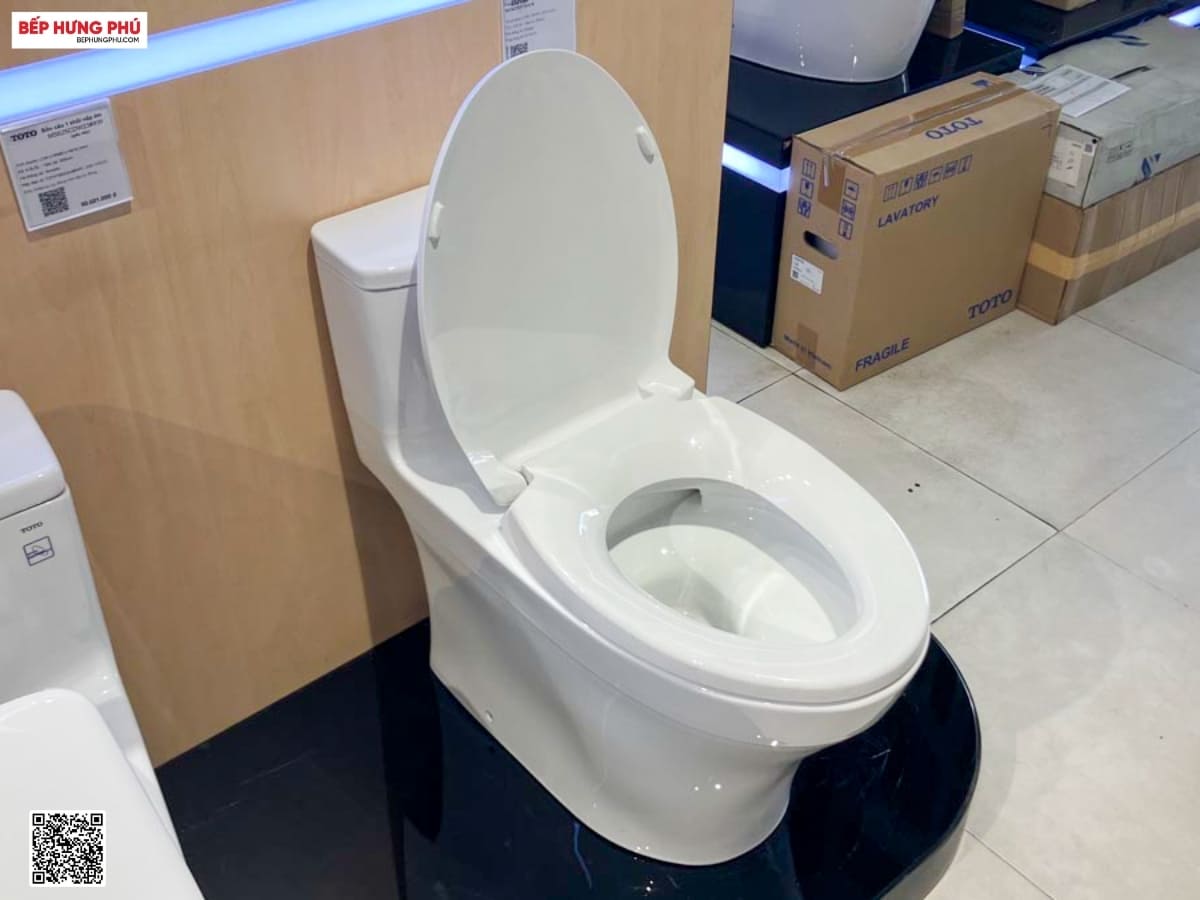 bon cau toto ms885dt2 6