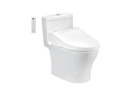 Bồn cầu TOTO MS889CDRW15