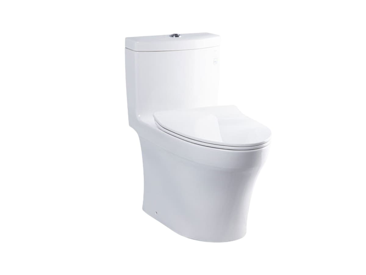bon cau toto ms889drt8