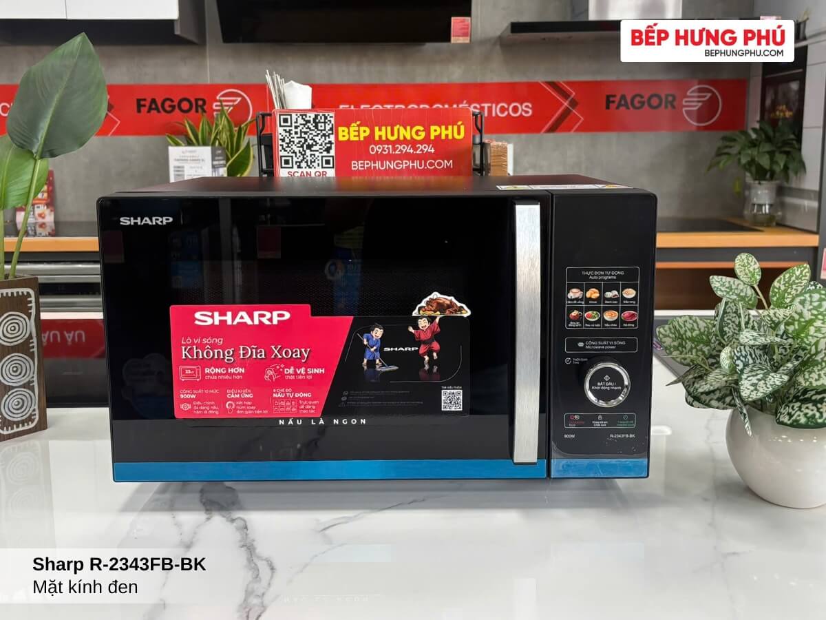lo vi song sharp r 2343fb bk 5 1