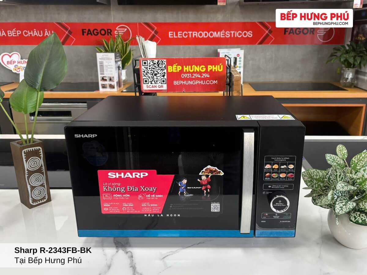 lo vi song sharp r 2343fb bk 6 1