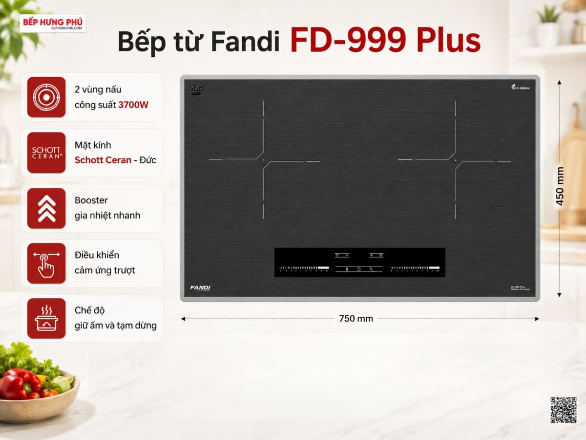 bếp từ fandi fd-999 plus