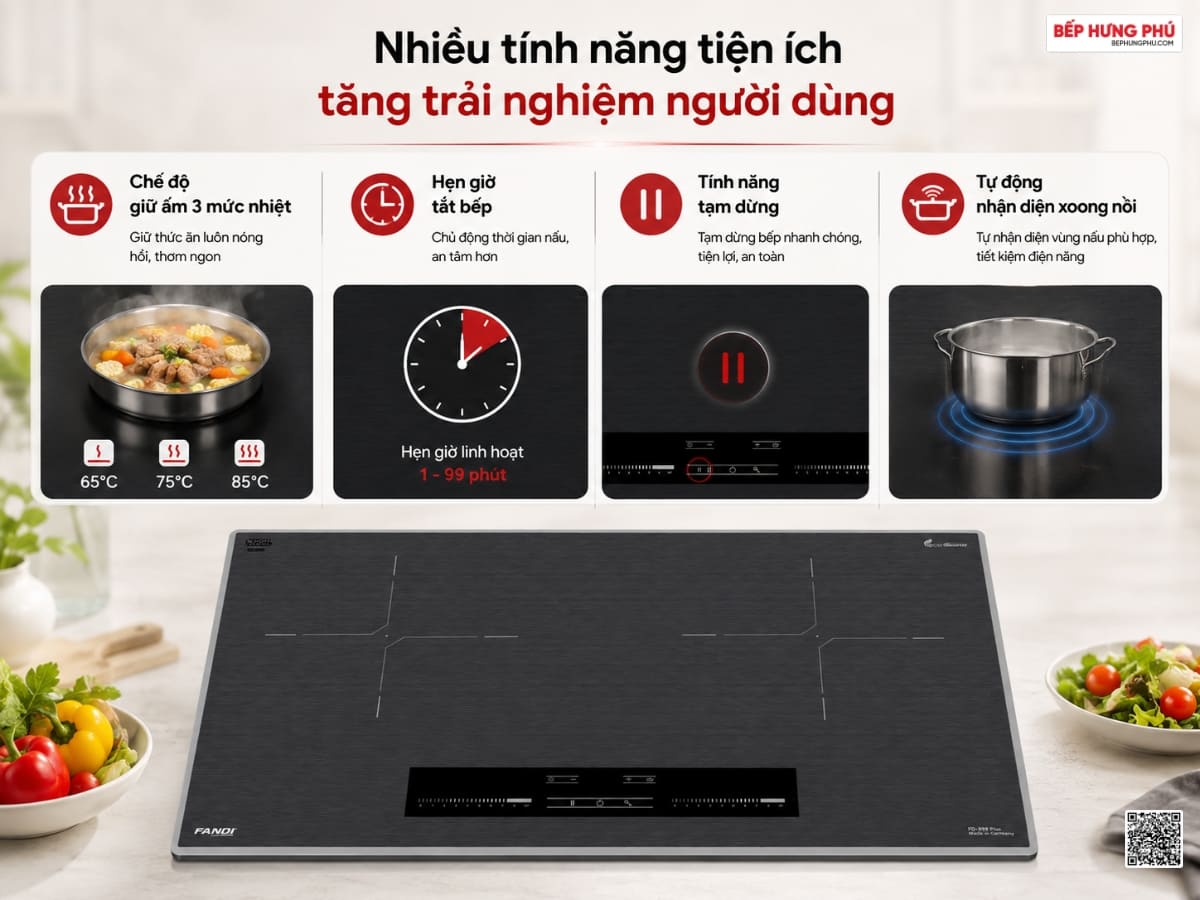 bếp từ fandi fd-999 plus